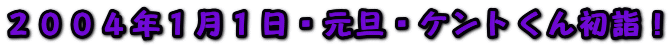 QOOSNPPEUEPg񏉌wI